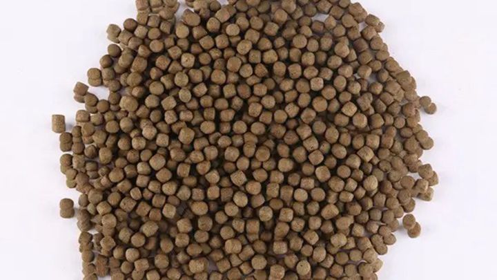 High quality fish feed pellet