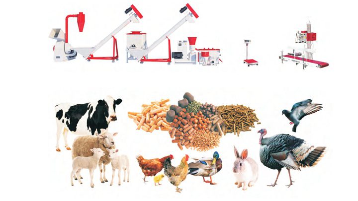 Livestock feed pellet production line
