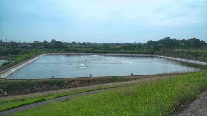 Fish ponds farming