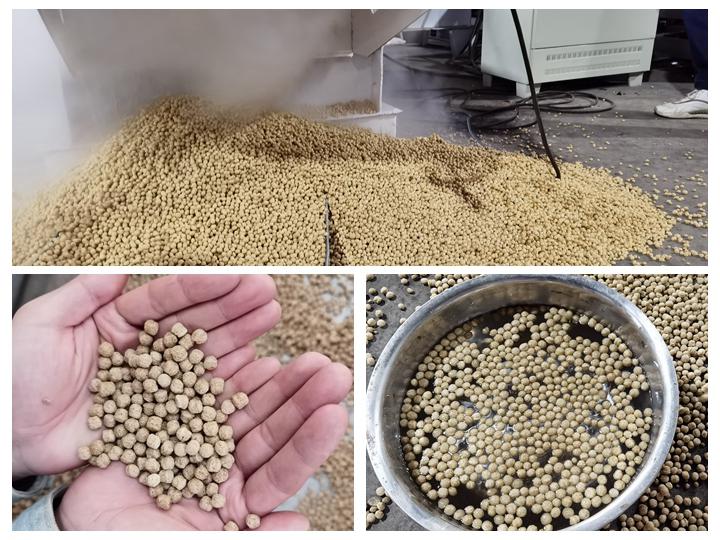 Floating fish feed pellet production