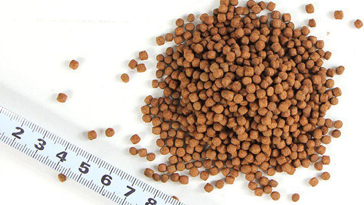How to judge the quality of fish feed pellets?