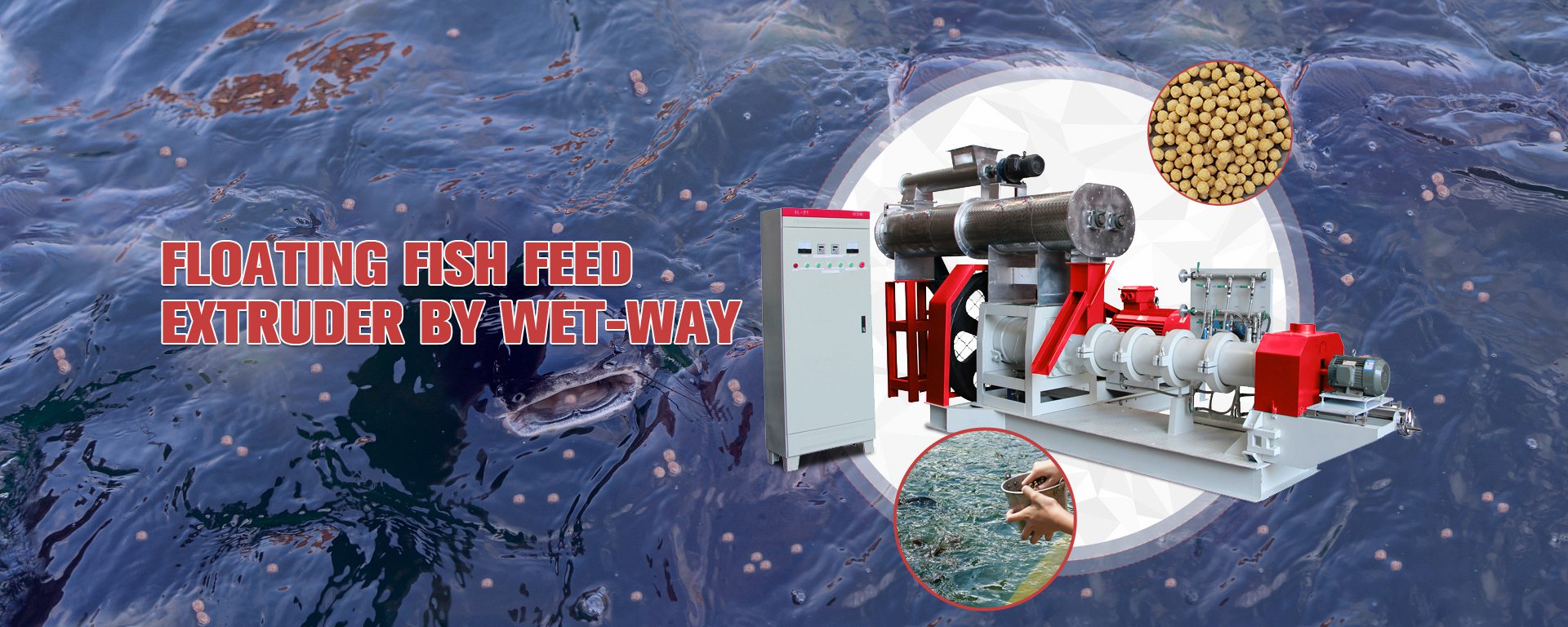 Floating fish feed extruder by wet way