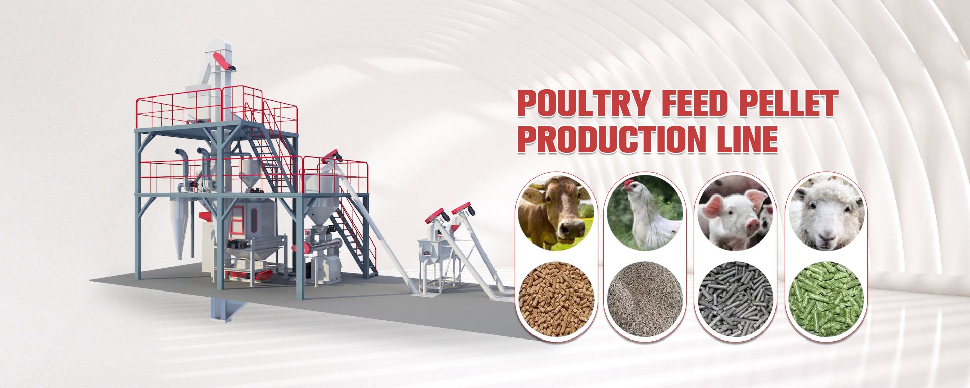 Poultry feed pellet production line