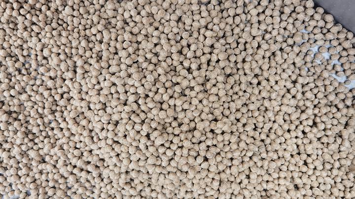 Floating fish feed pellet