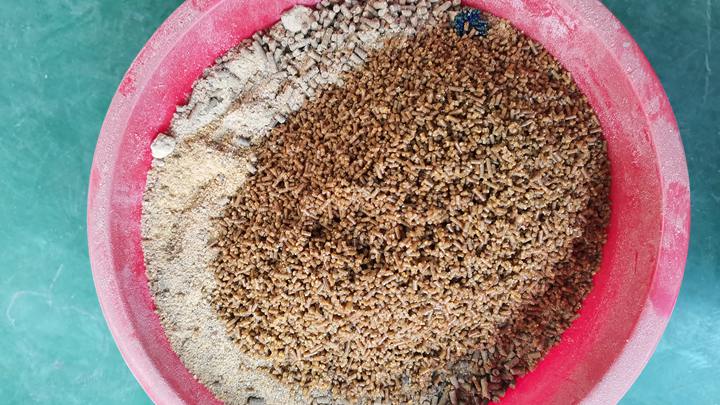 Floating fish feed pellet