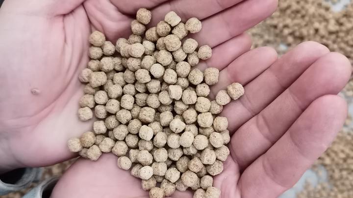 Floating fish feed pellet