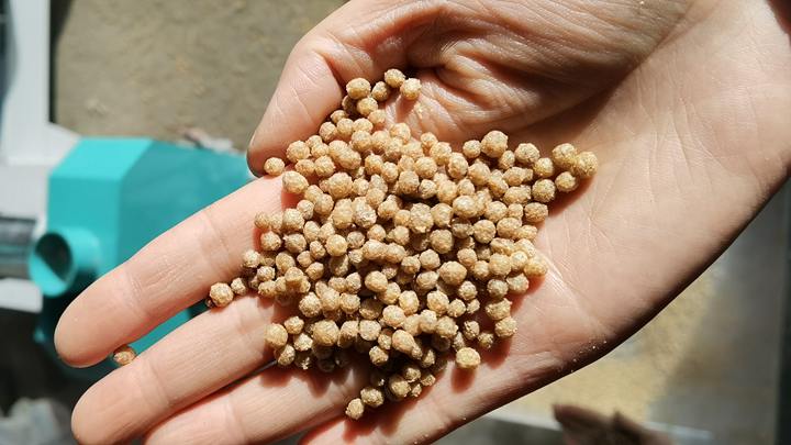 Floating fish feed pellet 