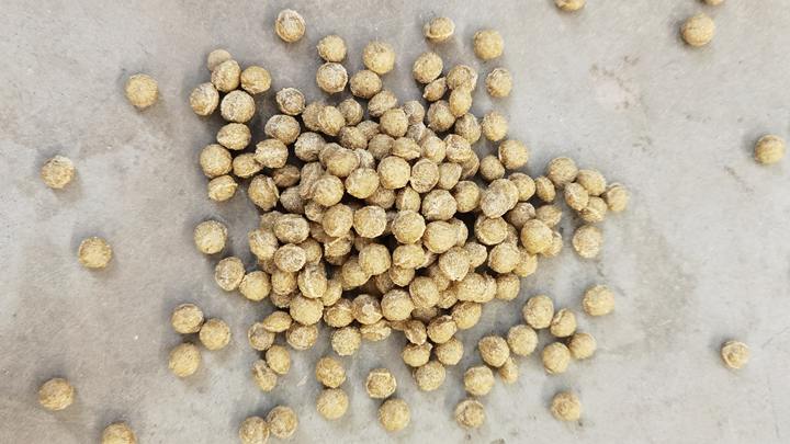 Floating fish feed pellet