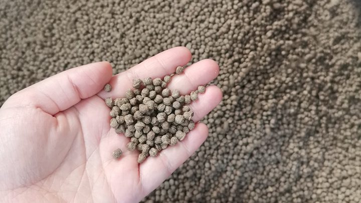 Floating fish feed pellet