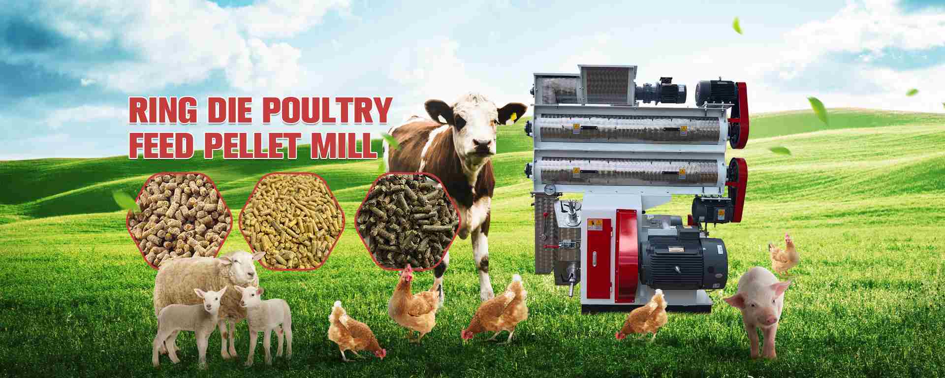 Ring die poultry feed pellet mill