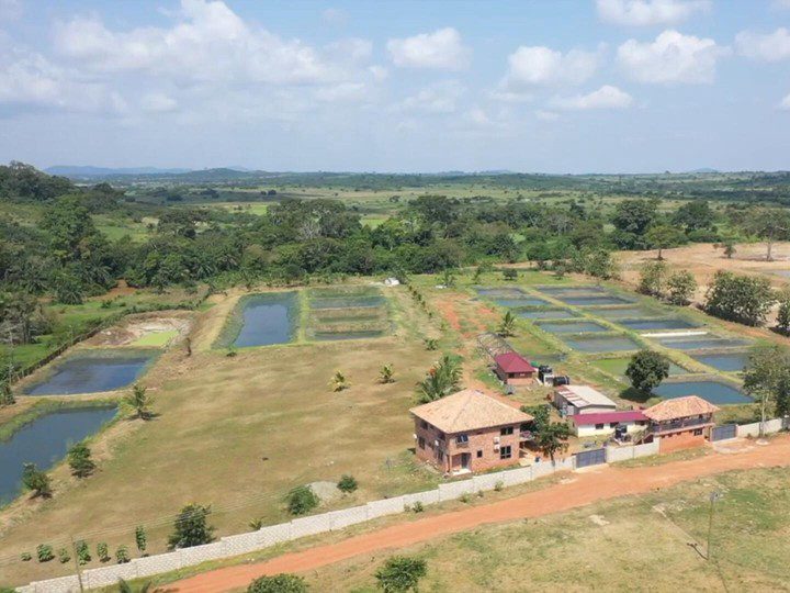 Ghana fish farms