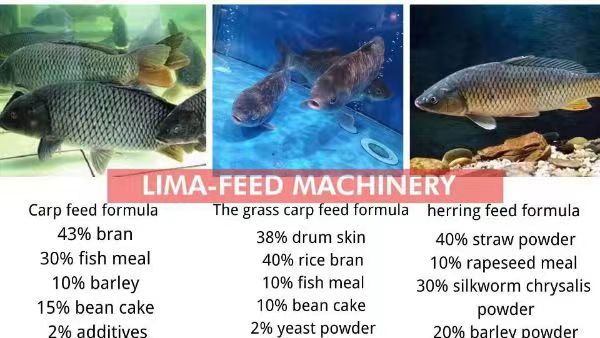How to make floating fish feed for your fish farm