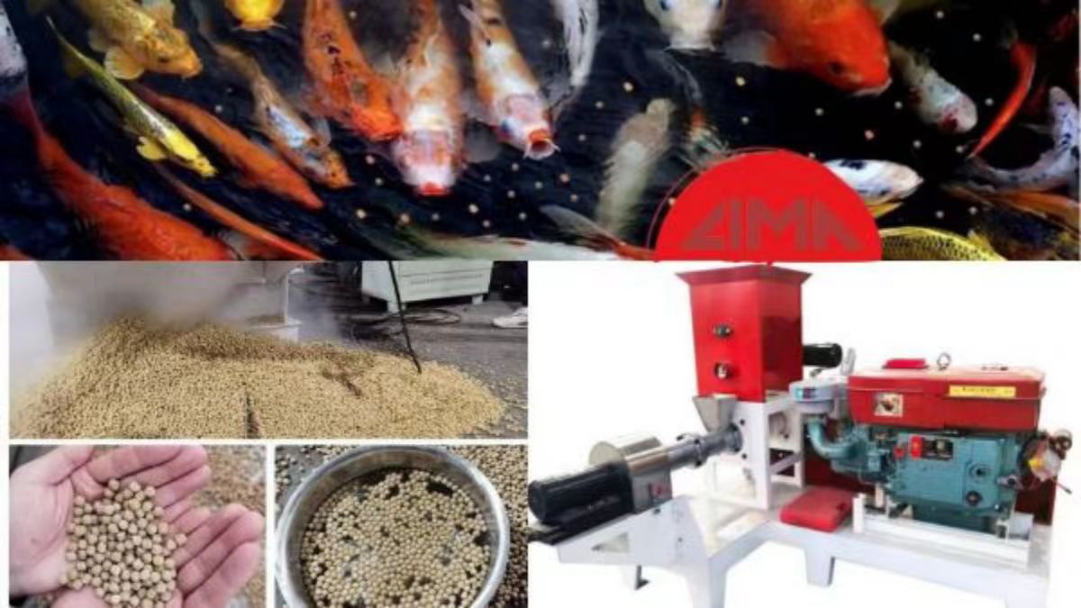 fish feed machinery