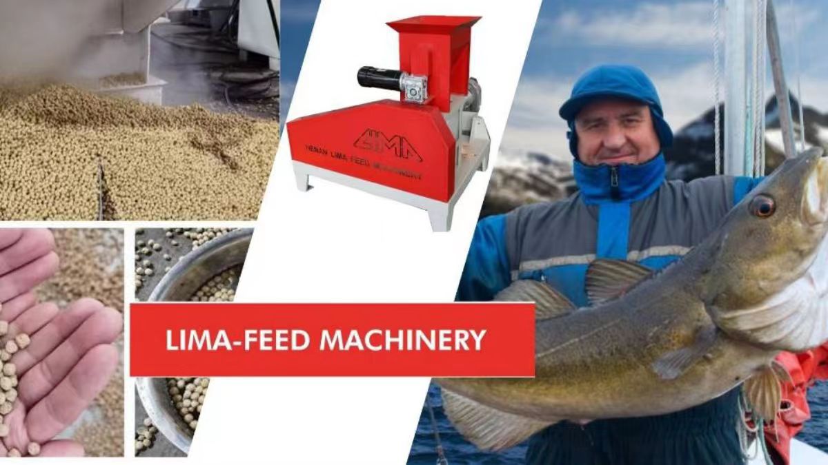 lima fish feed machinery