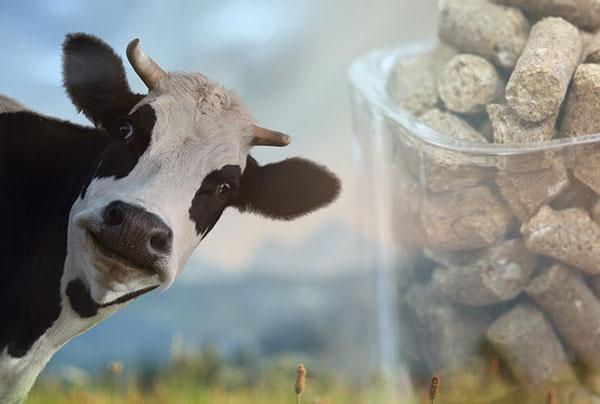 Benefits of feed pellets Benefits of feed pellets