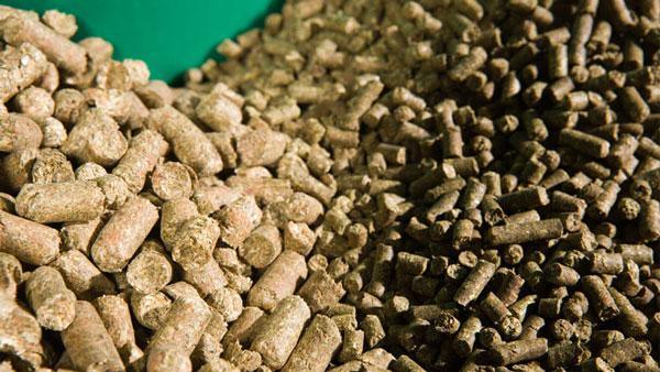 Feed pellets Feed pellets