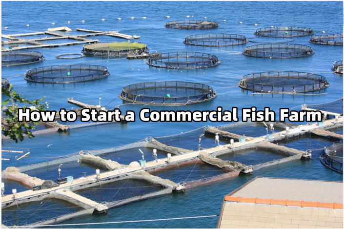 Commercial fish farm pond with aerators, featuring floating feed pellets on water surface, suitable for tilapia or catfish farming.