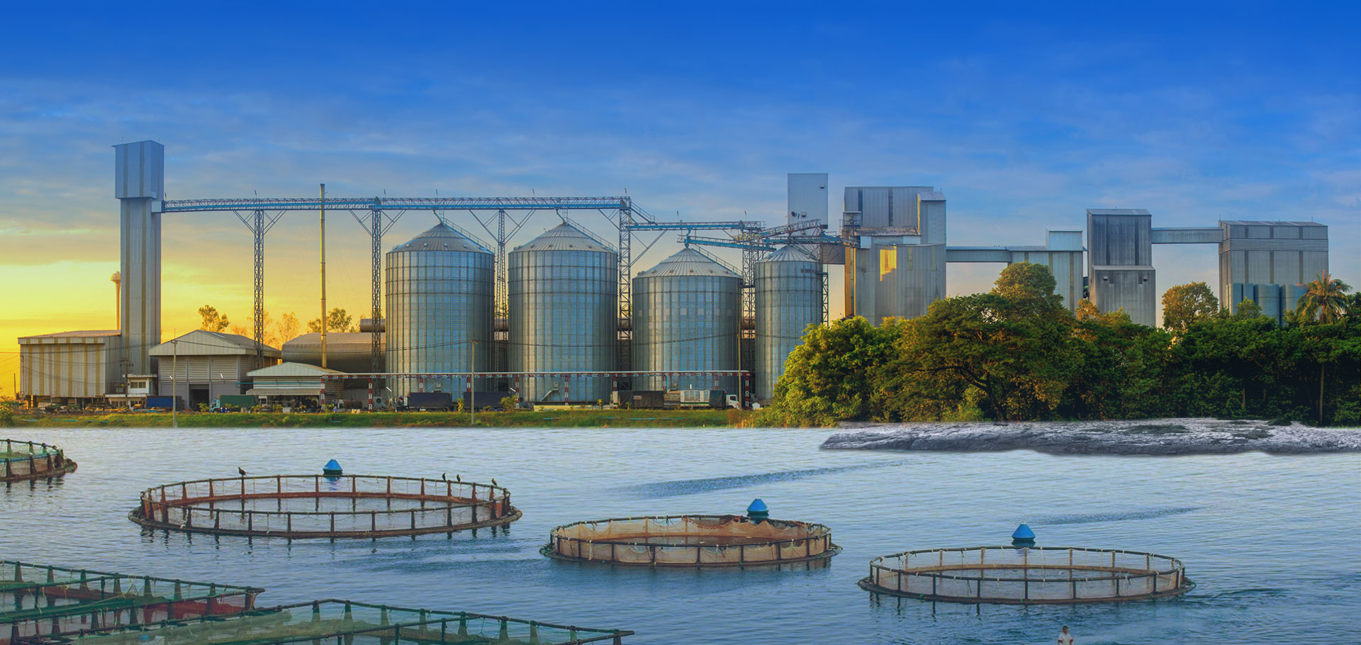 Commercial fish farm pond with floating feed pellets and feed manufacturing facility building in background