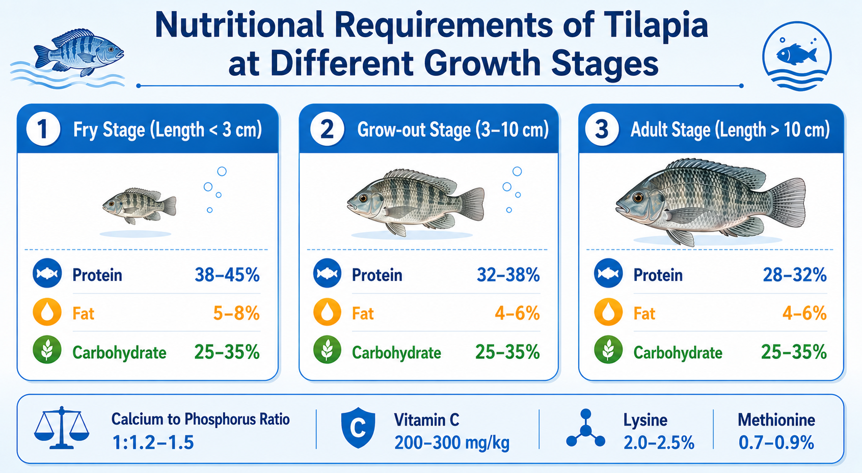 Nutritional Requirements of Tilapia at Different Growth Stages